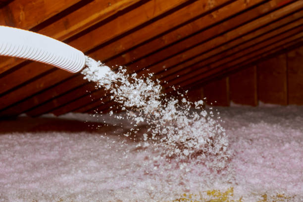 Best Attic Insulation Installation  in Tavernier, FL