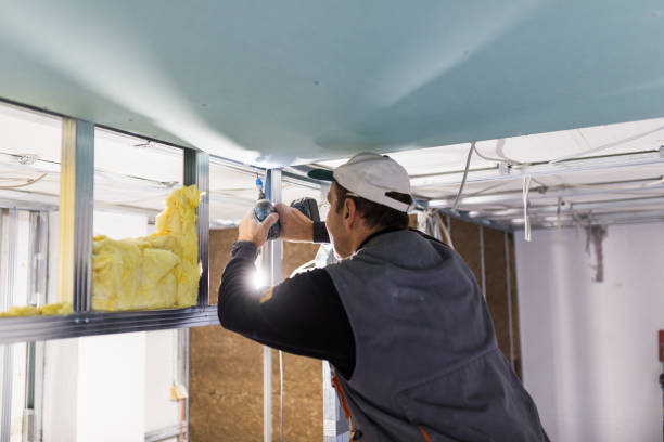 Best Insulation Replacement Services  in Tavernier, FL