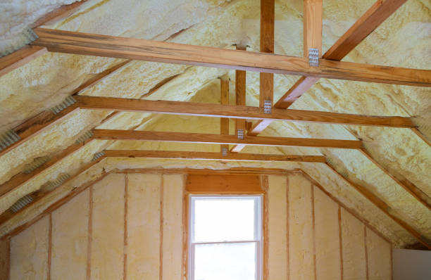 Best Local Insulation Services  in Tavernier, FL