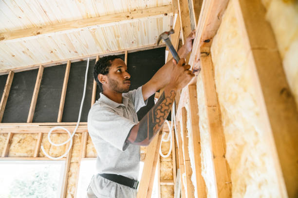 Best Insulation for New Construction  in Tavernier, FL