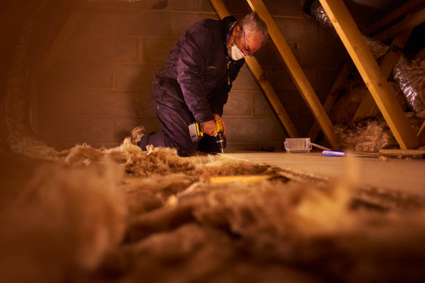 Best Insulation Contractors for Homes  in Tavernier, FL