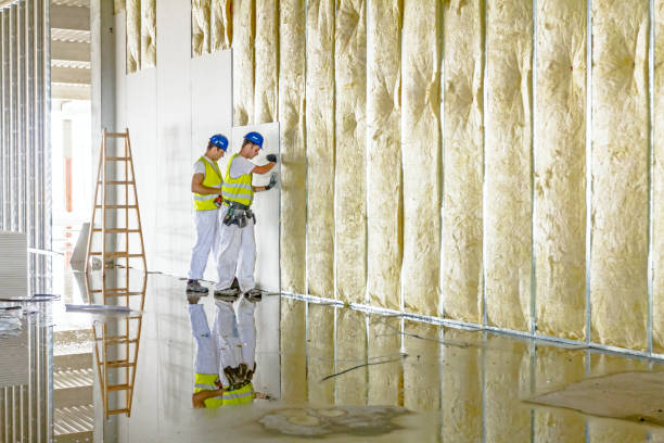 Best Insulation Repair Services  in Tavernier, FL